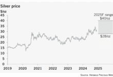 پیش بینی قیمت نقره در چند سال آینده